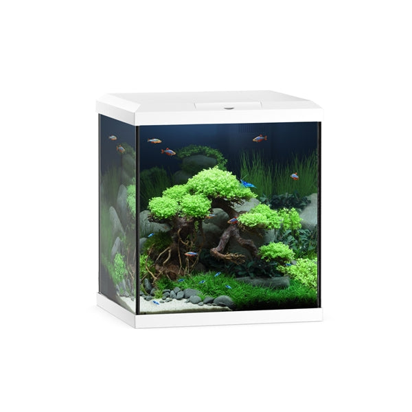 Aquarium