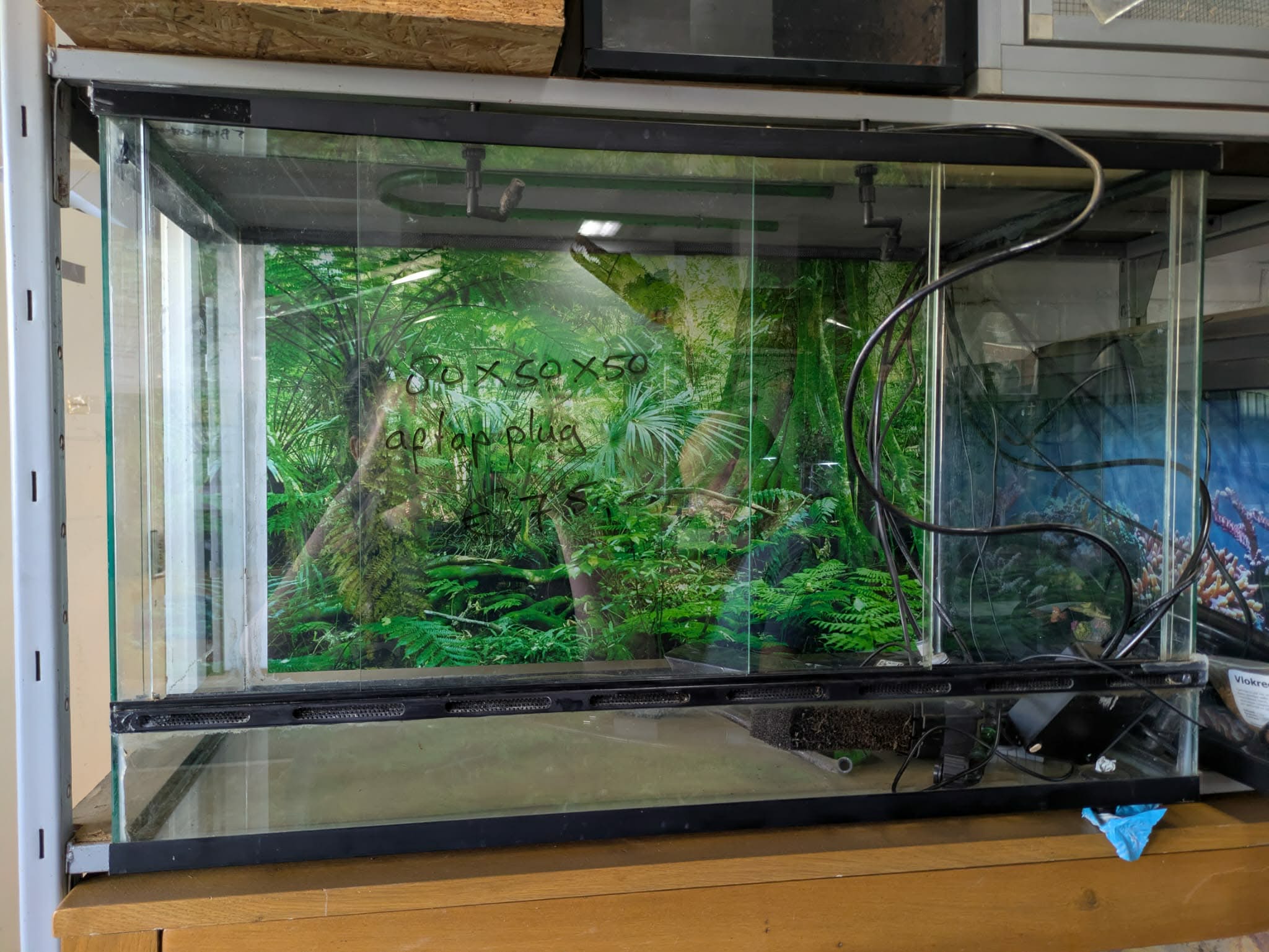 Terrarium 80x50x50