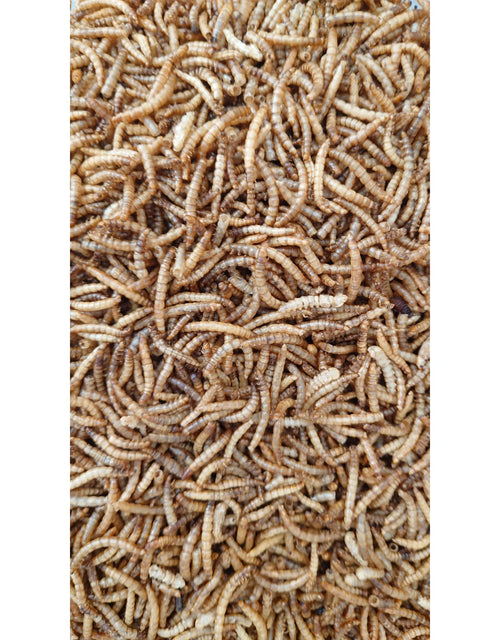 5 liter gedroogde meelwormen