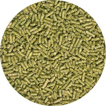 Natural Adult Iguana Food